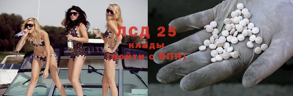 спайс Алзамай