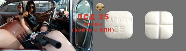 спайс Алзамай