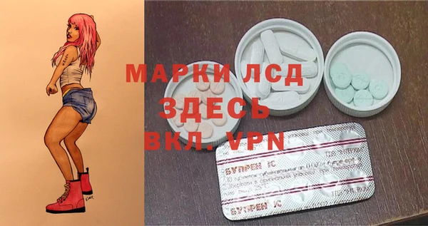спайс Алзамай