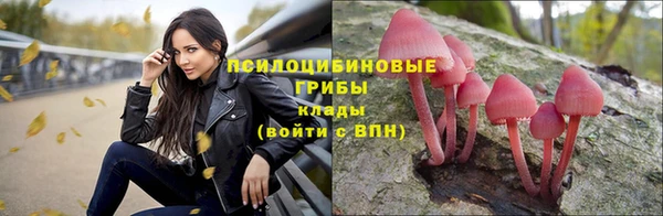 Альфа ПВП Пестово