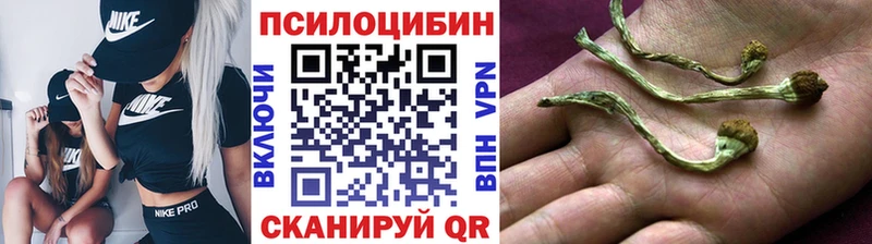Галлюциногенные грибы мицелий  Анадырь 